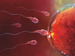 Gebe kalamamanın sebebi DNA hasarı olabilir