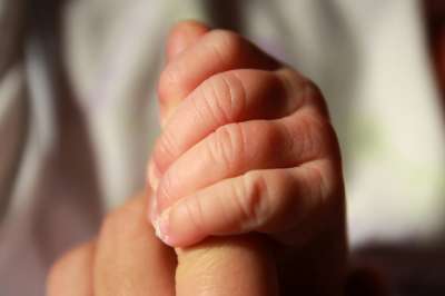 İçgüdüsel yaklaşım nedir?