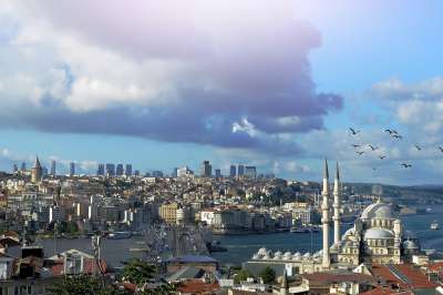 Büyük şehirde yaşamanın alerjiye etkisi neler?