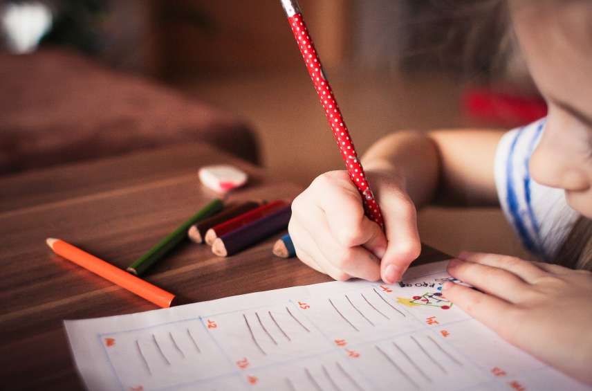 Çocuk Gelişim Testleri