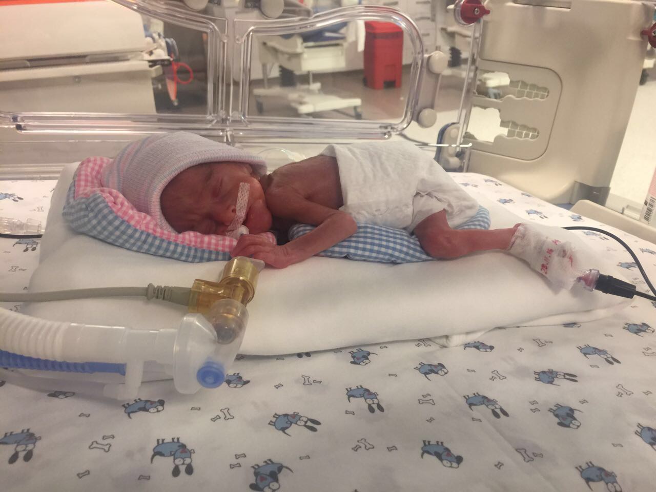 Küçük kahraman bebekler