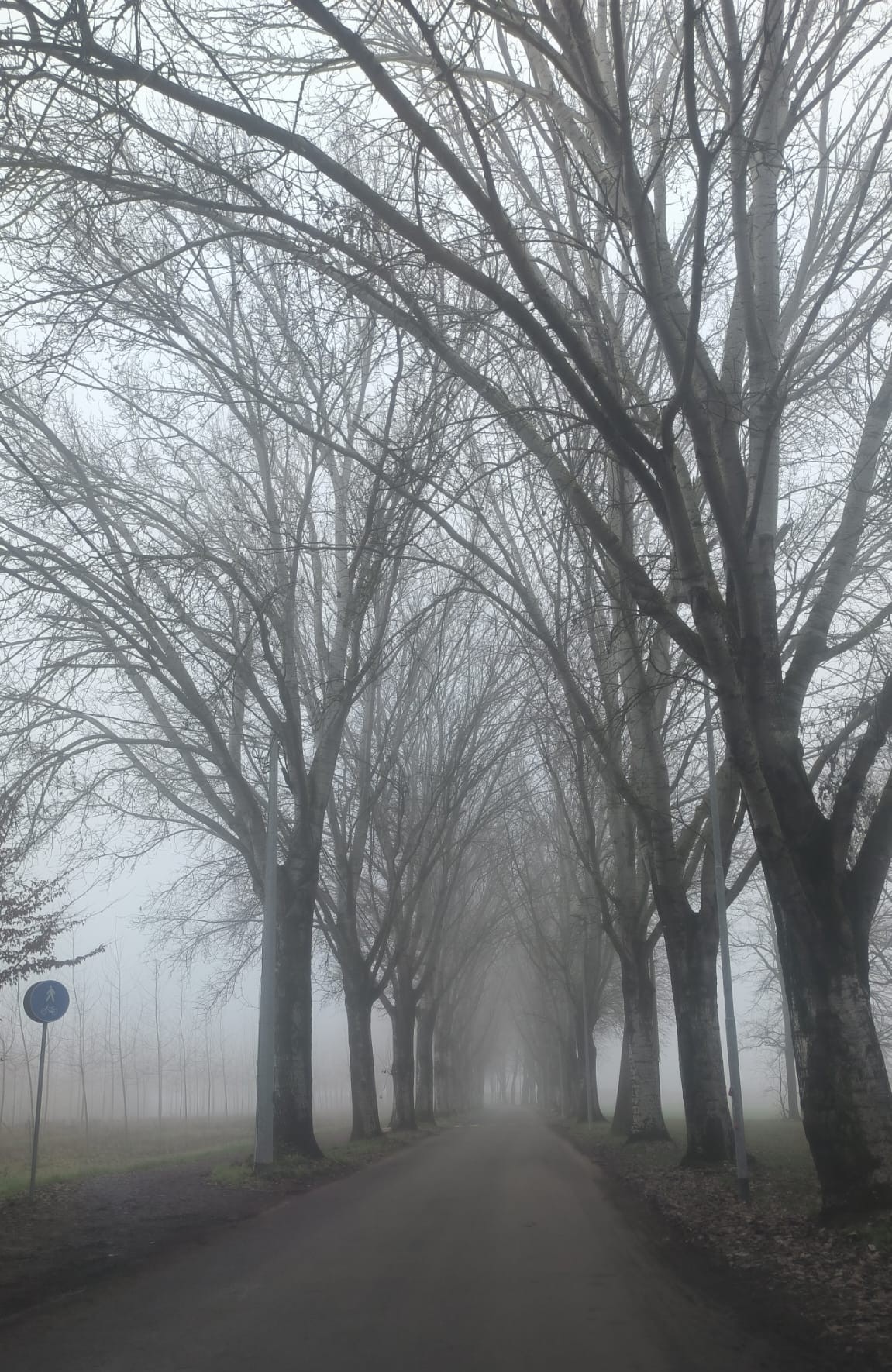 Hayat Neden Akmıyor Gibi Hissedilir? İçsel Uyanış ve Farkındalık…